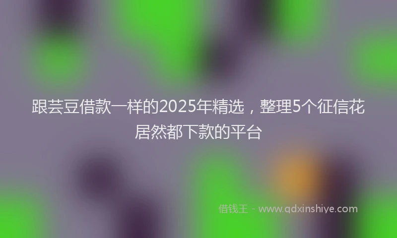 跟芸豆借款一样的2025年精选，整理5个征信花居然都下款的平台