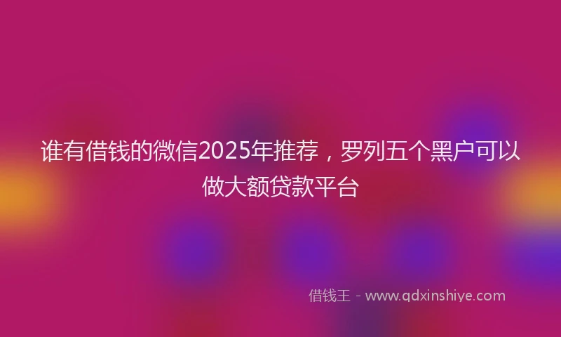 谁有借钱的微信2025年推荐，罗列五个黑户可以做大额贷款平台