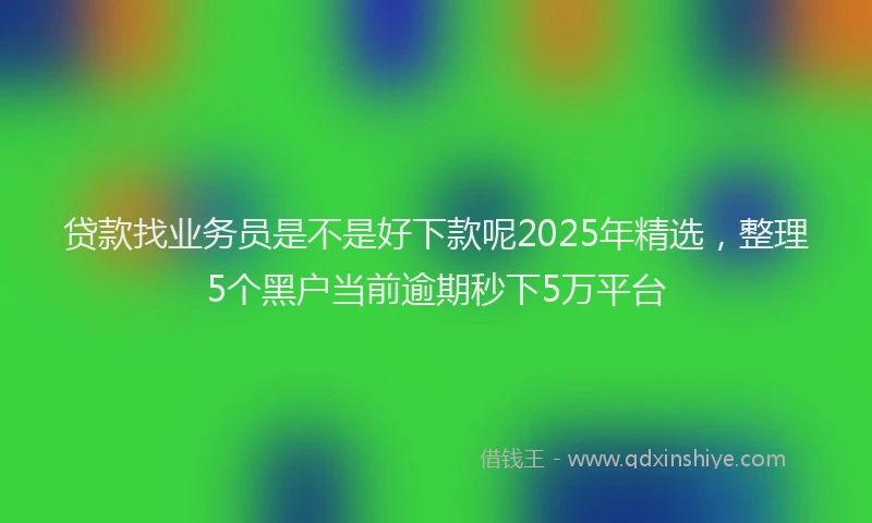 贷款找业务员是不是好下款呢2025年精选，整理5个黑户当前逾期秒下5万平台