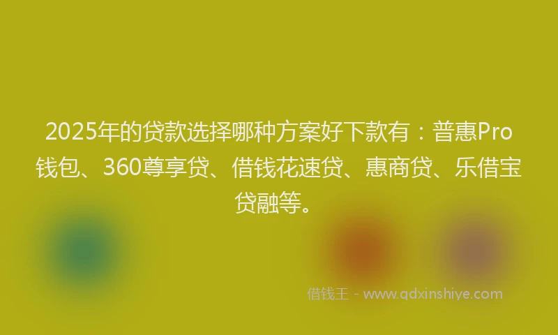 2025年的贷款选择哪种方案好下款有：普惠Pro钱包、360尊享贷、借钱花速贷、惠商贷、乐借宝贷融等。