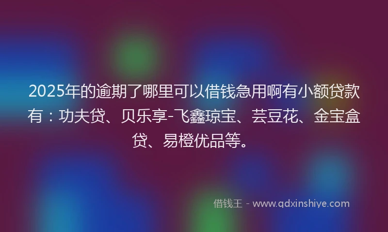2025年的逾期了哪里可以借钱急用啊有小额贷款有：功夫贷、贝乐享-飞鑫琼宝、芸豆花、金宝盒贷、易橙优品等。
