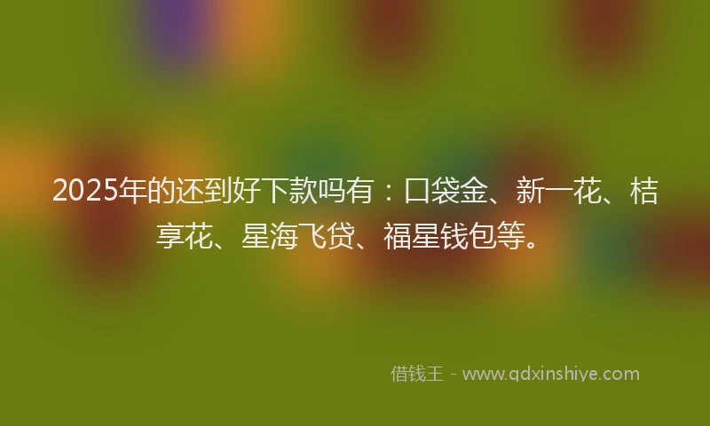 2025年的还到好下款吗有：口袋金、新一花、桔享花、星海飞贷、福星钱包等。