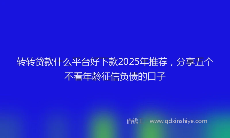 转转贷款什么平台好下款2025年推荐，分享五个不看年龄征信负债的口子