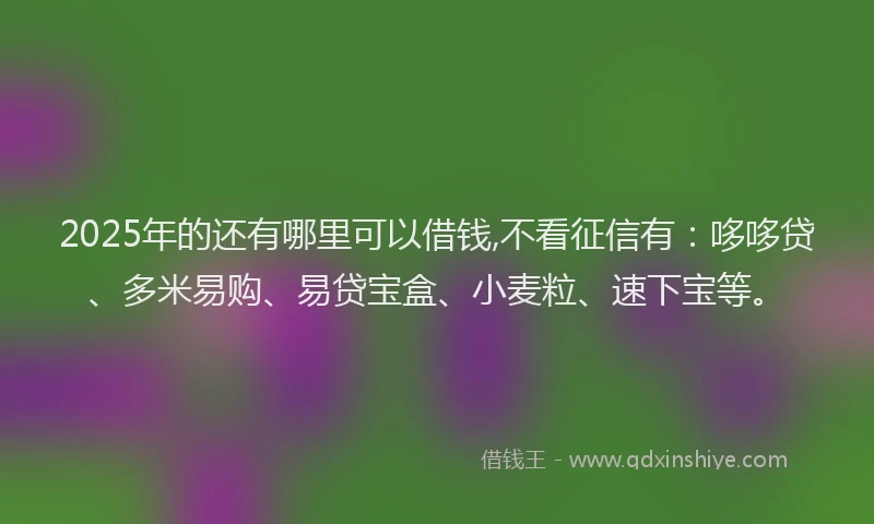 2025年的还有哪里可以借钱,不看征信有：哆哆贷、多米易购、易贷宝盒、小麦粒、速下宝等。