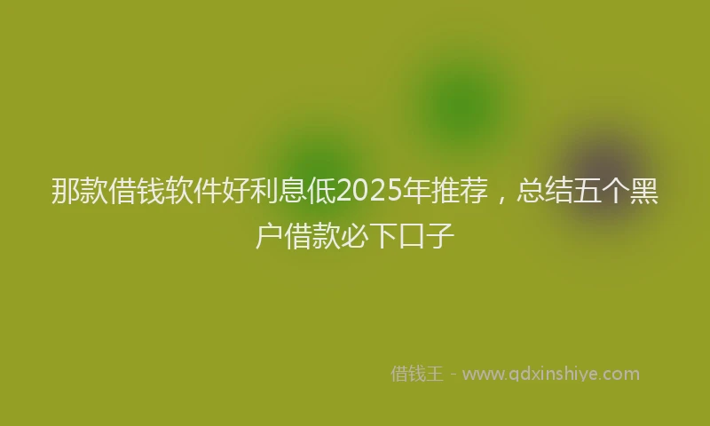 那款借钱软件好利息低2025年推荐，总结五个黑户借款必下口子