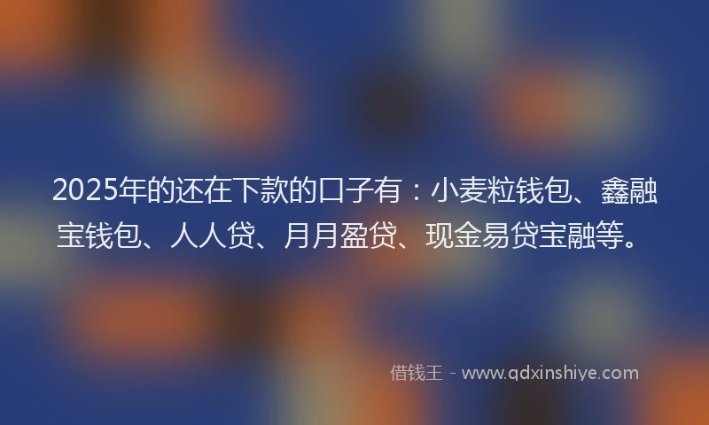 2025年的还在下款的口子有：小麦粒钱包、鑫融宝钱包、人人贷、月月盈贷、现金易贷宝融等。