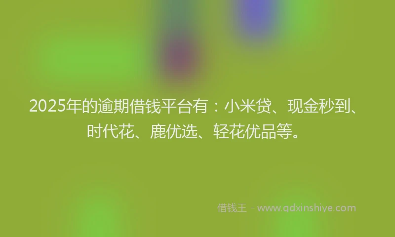 2025年的逾期借钱平台有：小米贷、现金秒到、时代花、鹿优选、轻花优品等。