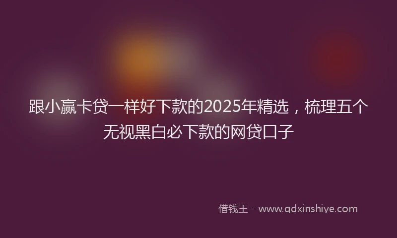跟小赢卡贷一样好下款的2025年精选，梳理五个无视黑白必下款的网贷口子