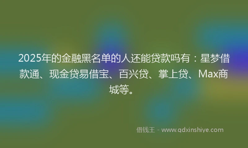 2025年的金融黑名单的人还能贷款吗有：星梦借款通、现金贷易借宝、百兴贷、掌上贷、Max商城等。