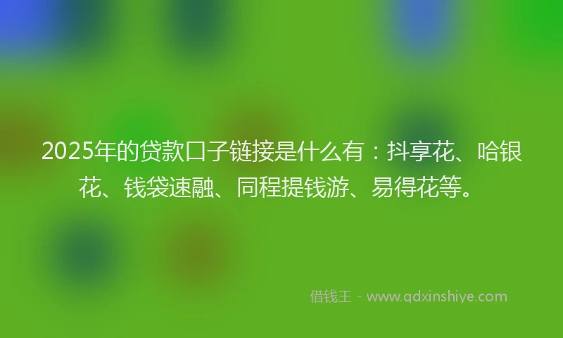 2025年的贷款口子链接是什么有：抖享花、哈银花、钱袋速融、同程提钱游、易得花等。