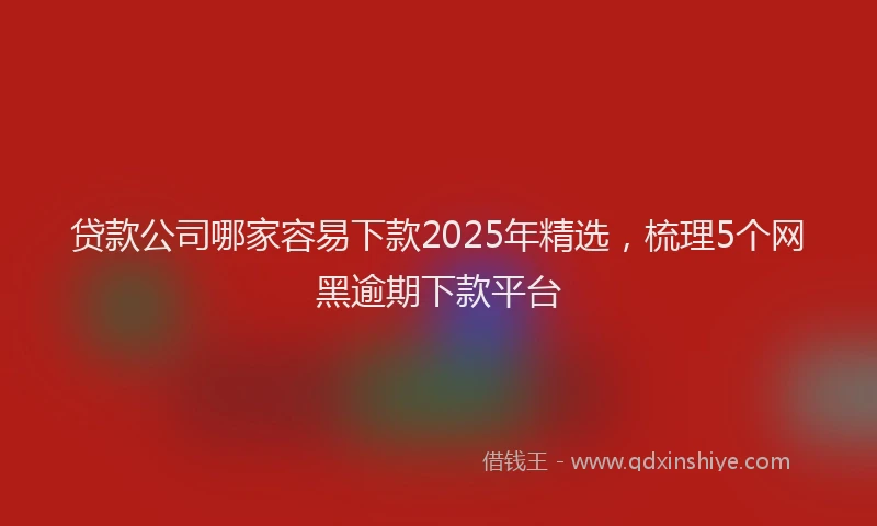 贷款公司哪家容易下款2025年精选，梳理5个网黑逾期下款平台