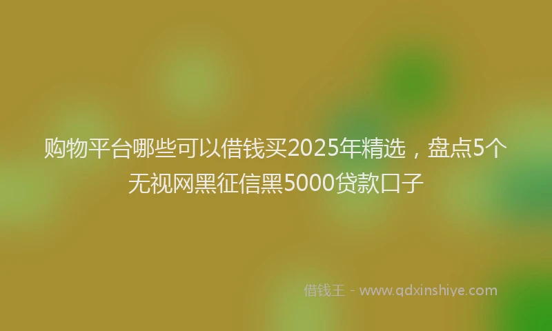 购物平台哪些可以借钱买2025年精选，盘点5个无视网黑征信黑5000贷款口子