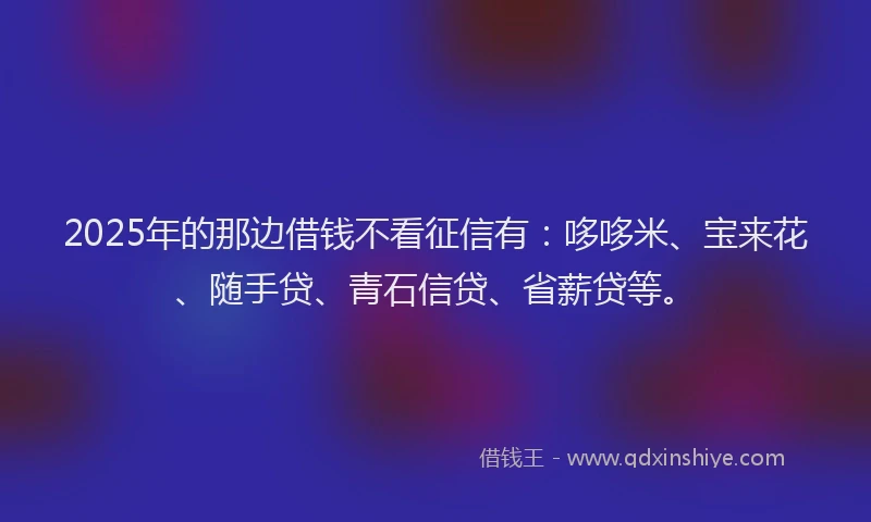 2025年的那边借钱不看征信有：哆哆米、宝来花、随手贷、青石信贷、省薪贷等。