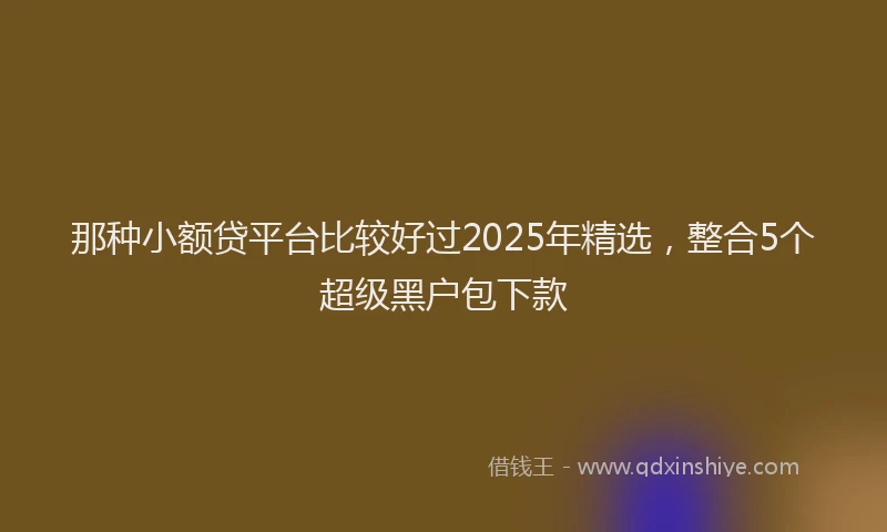 那种小额贷平台比较好过2025年精选，整合5个超级黑户包下款