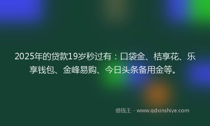 2025年的贷款19岁秒过有：口袋金、桔享花、乐享钱包、金峰易购、今日头条备用金等。