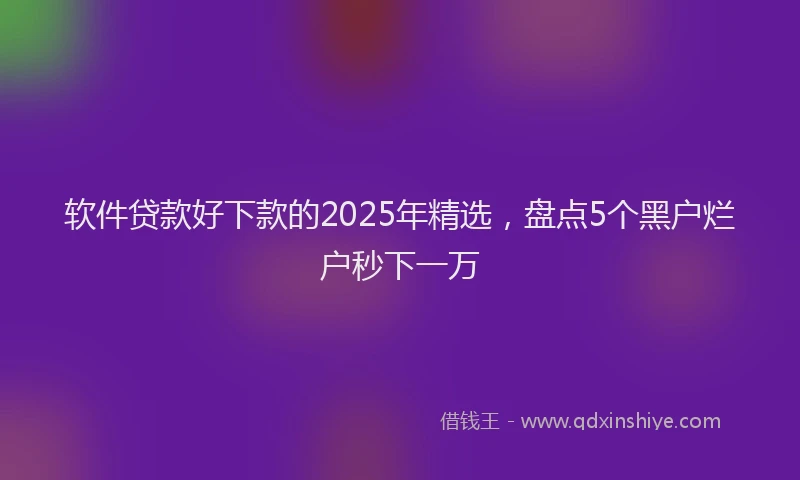 软件贷款好下款的2025年精选，盘点5个黑户烂户秒下一万
