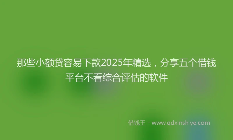 那些小额贷容易下款2025年精选，分享五个借钱平台不看综合评估的软件