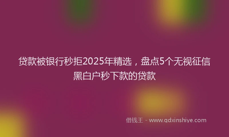 贷款被银行秒拒2025年精选，盘点5个无视征信黑白户秒下款的贷款