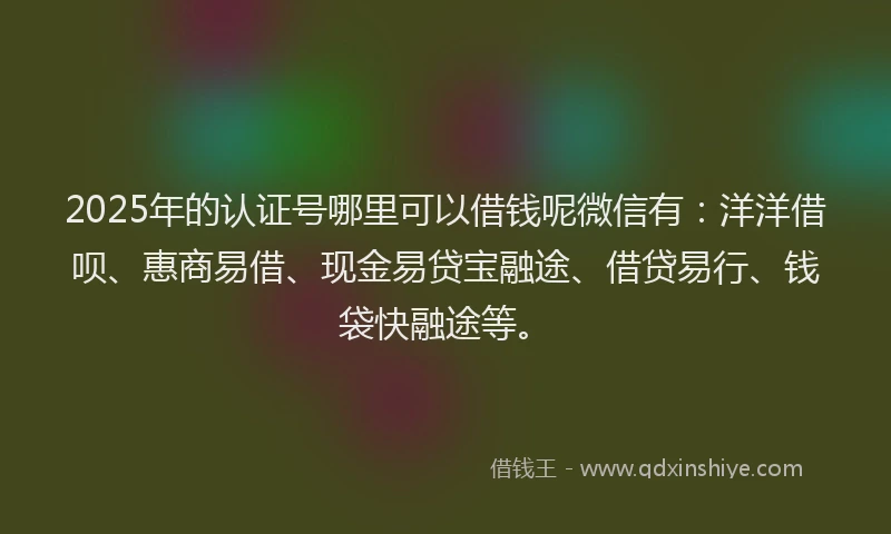 2025年的认证号哪里可以借钱呢微信有：洋洋借呗、惠商易借、现金易贷宝融途、借贷易行、钱袋快融途等。
