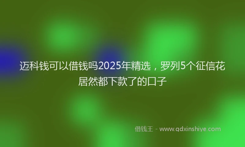 迈科钱可以借钱吗2025年精选，罗列5个征信花居然都下款了的口子