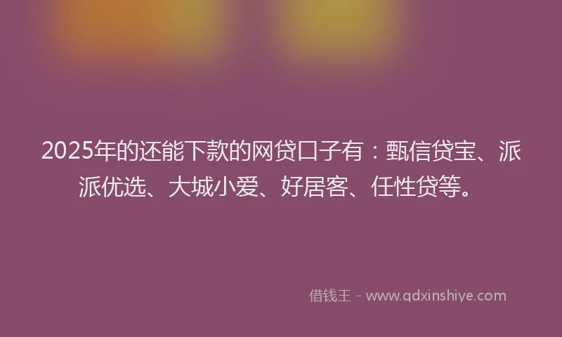 2025年的还能下款的网贷口子有：甄信贷宝、派派优选、大城小爱、好居客、任性贷等。