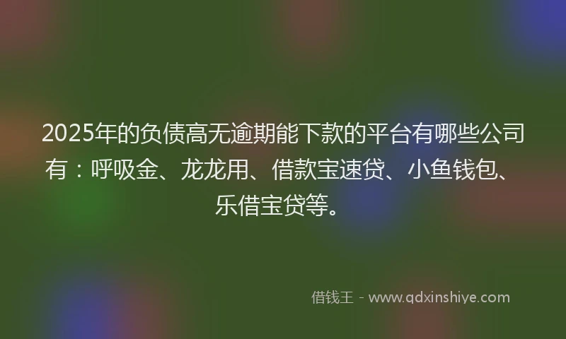 2025年的负债高无逾期能下款的平台有哪些公司有：呼吸金、龙龙用、借款宝速贷、小鱼钱包、乐借宝贷等。