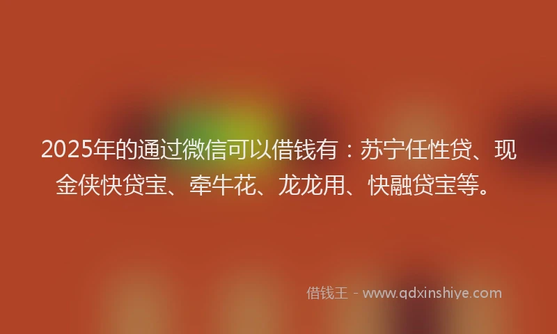 2025年的通过微信可以借钱有：苏宁任性贷、现金侠快贷宝、牵牛花、龙龙用、快融贷宝等。