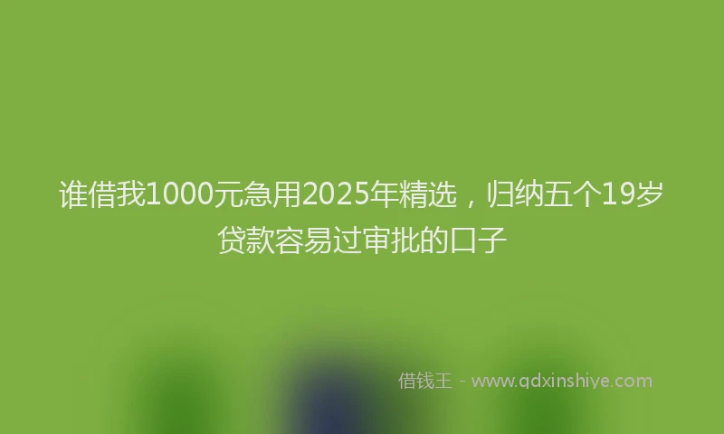 谁借我1000元急用2025年精选，归纳五个19岁贷款容易过审批的口子