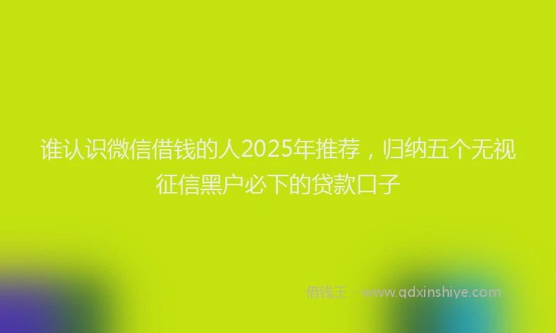 谁认识微信借钱的人2025年推荐，归纳五个无视征信黑户必下的贷款口子