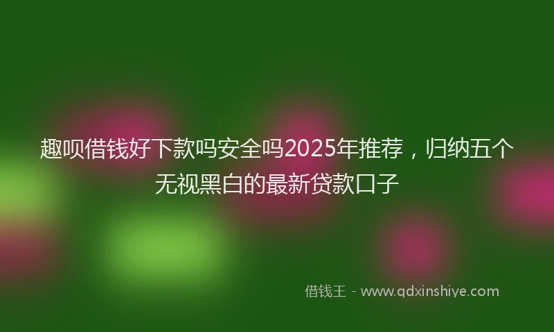 趣呗借钱好下款吗安全吗2025年推荐，归纳五个无视黑白的最新贷款口子
