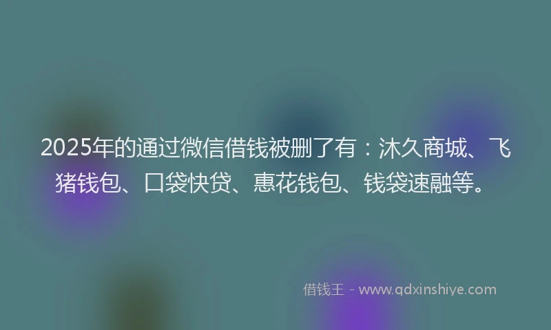 2025年的通过微信借钱被删了有：沐久商城、飞猪钱包、口袋快贷、惠花钱包、钱袋速融等。