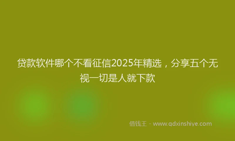 贷款软件哪个不看征信2025年精选，分享五个无视一切是人就下款