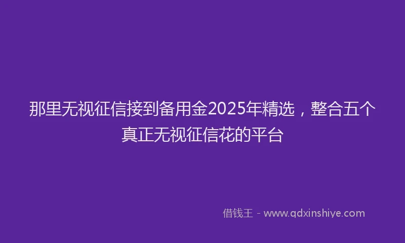 那里无视征信接到备用金2025年精选，整合五个真正无视征信花的平台