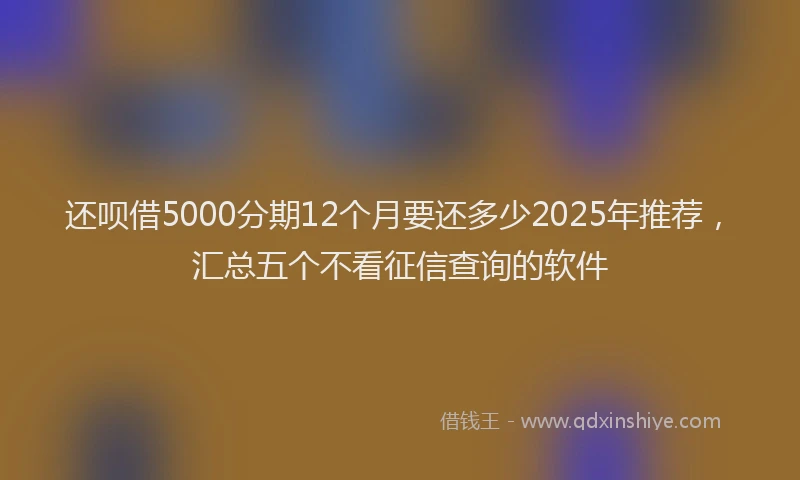 还呗借5000分期12个月要还多少2025年推荐，汇总五个不看征信查询的软件