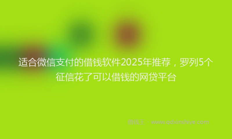 适合微信支付的借钱软件2025年推荐，罗列5个征信花了可以借钱的网贷平台