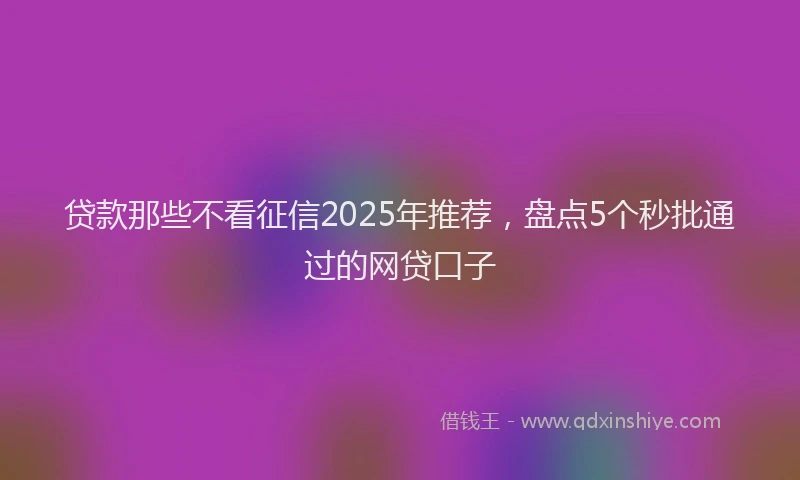 贷款那些不看征信2025年推荐，盘点5个秒批通过的网贷口子
