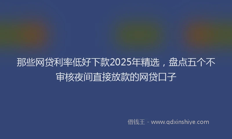 那些网贷利率低好下款2025年精选，盘点五个不审核夜间直接放款的网贷口子