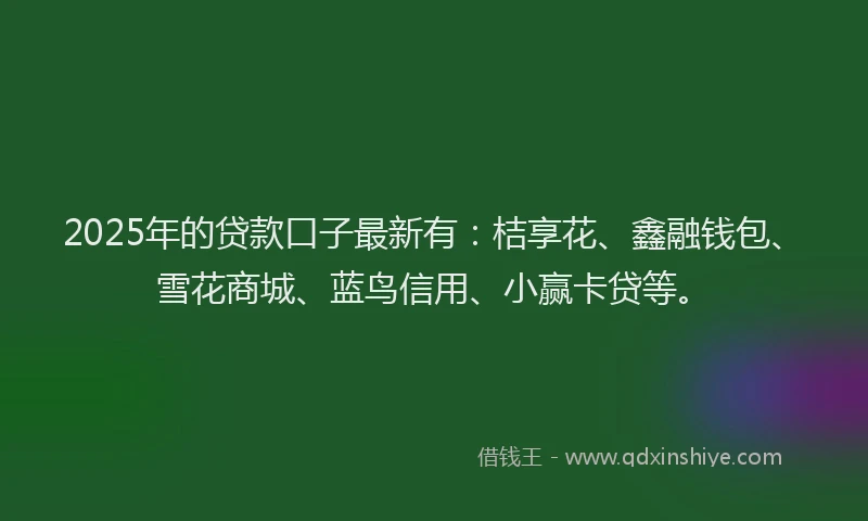 2025年的贷款口子最新有：桔享花、鑫融钱包、雪花商城、蓝鸟信用、小赢卡贷等。