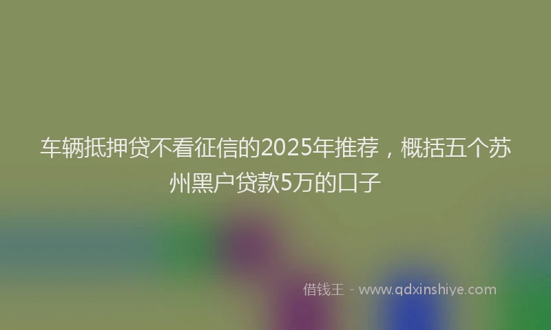 车辆抵押贷不看征信的2025年推荐，概括五个苏州黑户贷款5万的口子