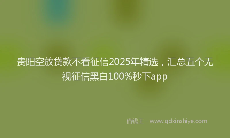 贵阳空放贷款不看征信2025年精选，汇总五个无视征信黑白100%秒下app