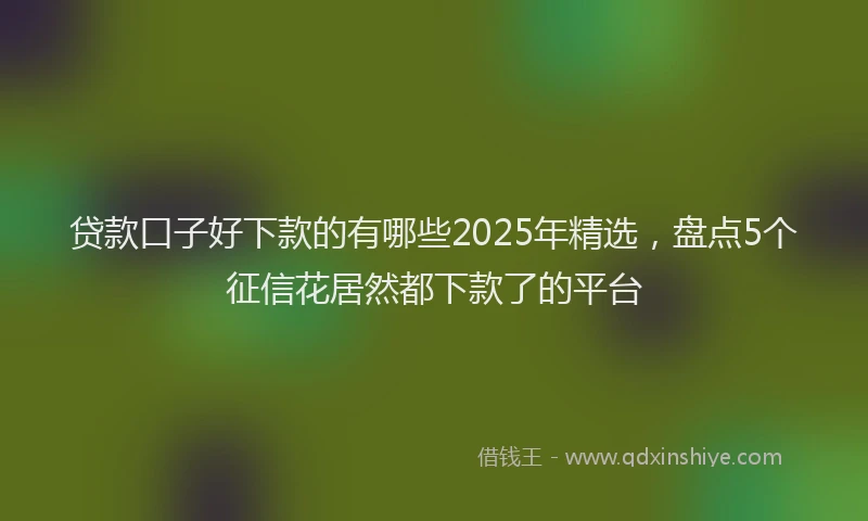 贷款口子好下款的有哪些2025年精选，盘点5个征信花居然都下款了的平台