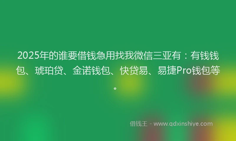 2025年的谁要借钱急用找我微信三亚有：有钱钱包、琥珀贷、金诺钱包、快贷易、易捷Pro钱包等。