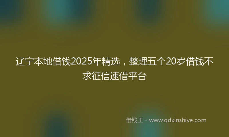 辽宁本地借钱2025年精选，整理五个20岁借钱不求征信速借平台
