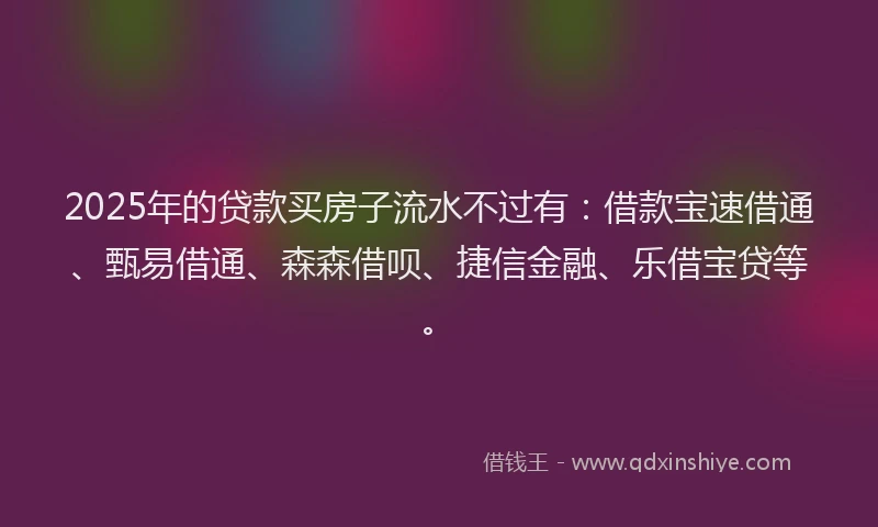 2025年的贷款买房子流水不过有：借款宝速借通、甄易借通、森森借呗、捷信金融、乐借宝贷等。