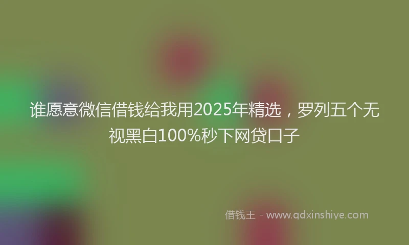 谁愿意微信借钱给我用2025年精选，罗列五个无视黑白100%秒下网贷口子