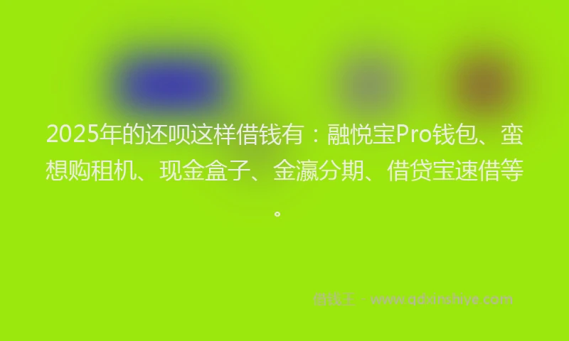 2025年的还呗这样借钱有：融悦宝Pro钱包、蛮想购租机、现金盒子、金瀛分期、借贷宝速借等。