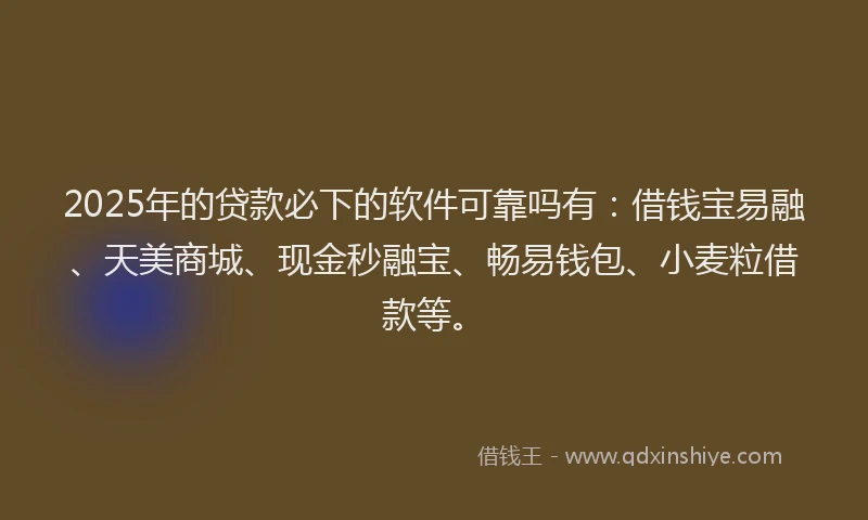 2025年的贷款必下的软件可靠吗有：借钱宝易融、天美商城、现金秒融宝、畅易钱包、小麦粒借款等。
