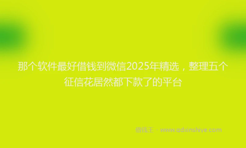 那个软件最好借钱到微信2025年精选，整理五个征信花居然都下款了的平台