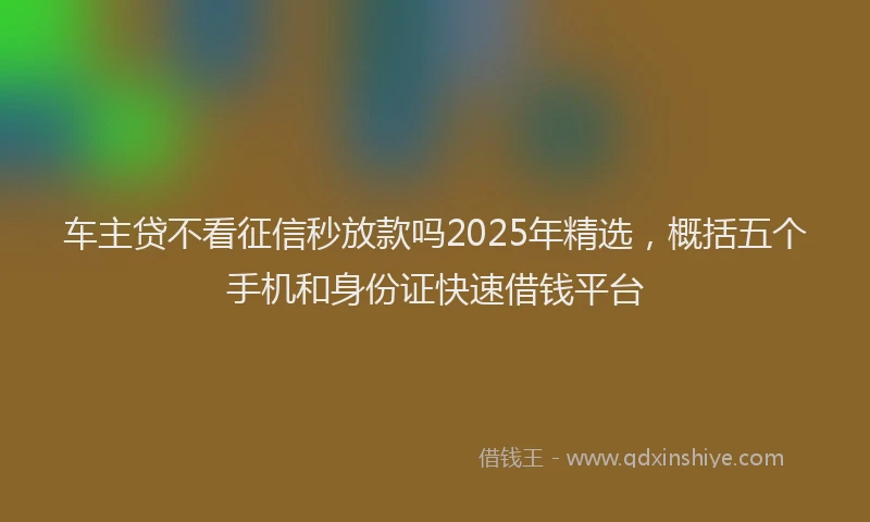 车主贷不看征信秒放款吗2025年精选，概括五个手机和身份证快速借钱平台