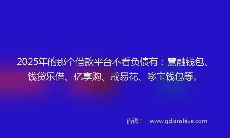 2025年的那个借款平台不看负债有：慧融钱包、钱贷乐借、亿享购、戒易花、哆宝钱包等。